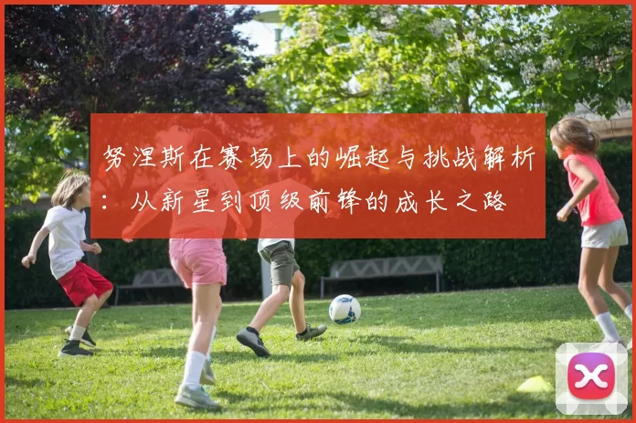 努涅斯在赛场上的崛起与挑战解析：从新星到顶级前锋的成长之路