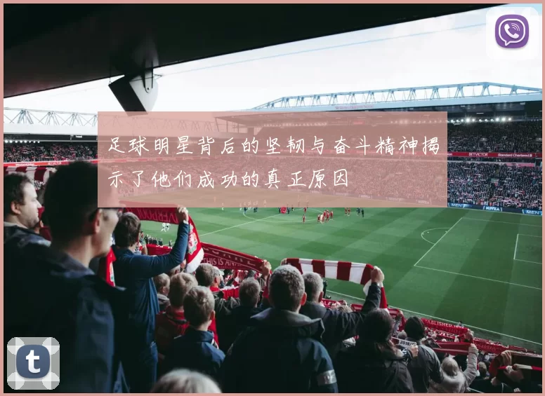 足球明星背后的坚韧与奋斗精神揭示了他们成功的真正原因