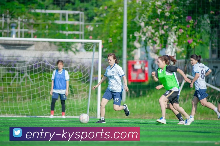 开云平台生态图